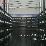 Estacas con Banda Plástica