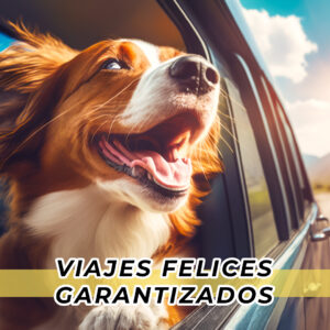 Rutas Caninas
