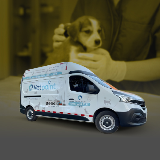 consultorio y veterinaria movil en van